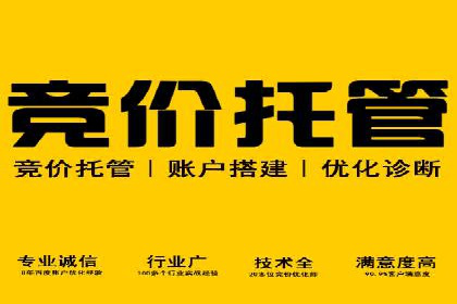SEM竞价技巧：成功案例揭秘